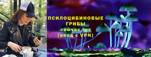 mdma Богородицк